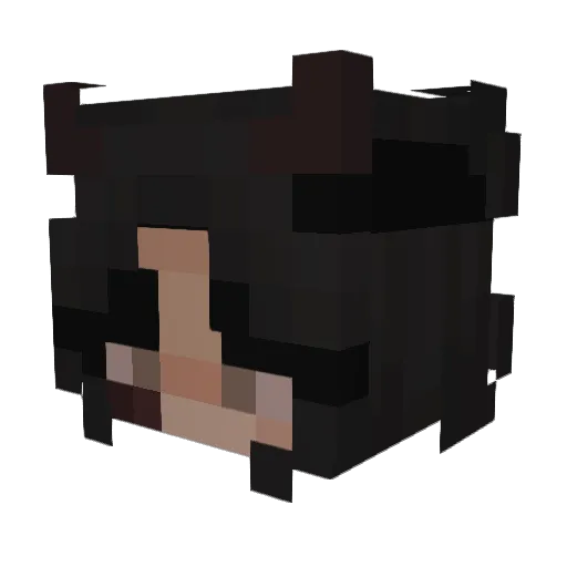 LUMBERSPHINX Minecraft avatar head, 3D render
