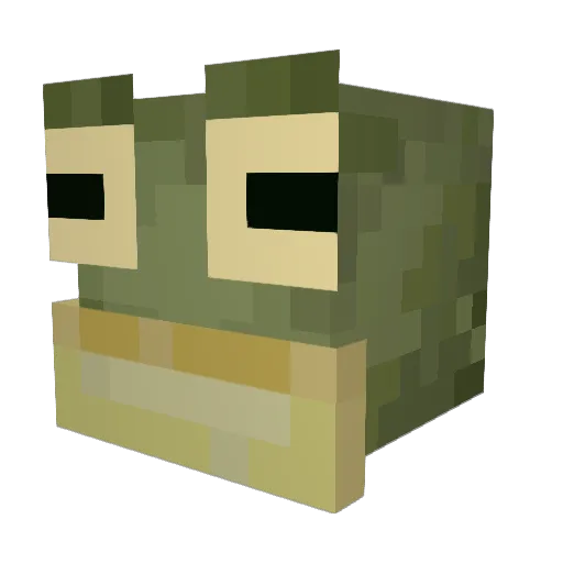 LUMPY_FR0G Minecraft avatar head, 3D render