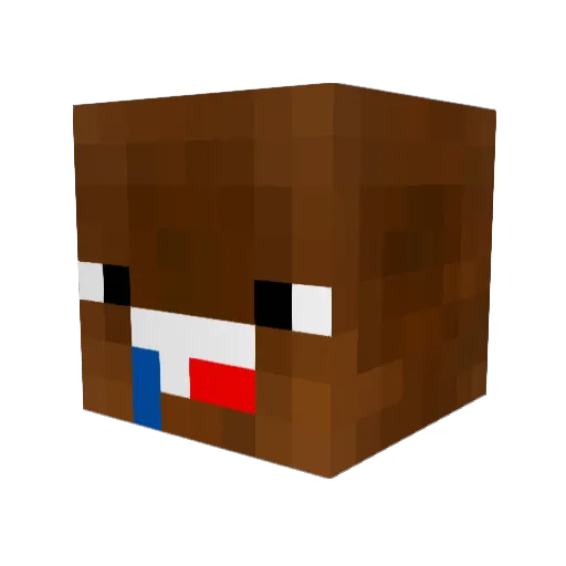 LUPERR10 Minecraft avatar head, 3D render