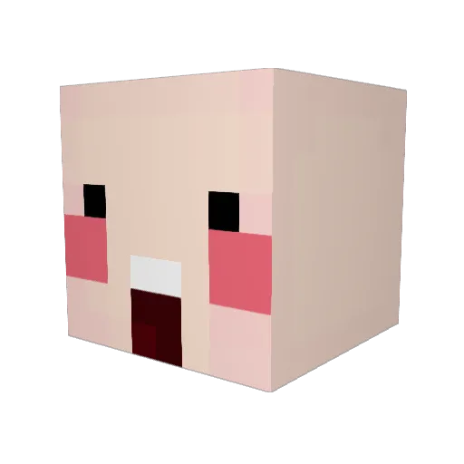 LURI1234 Minecraft avatar head, 3D render