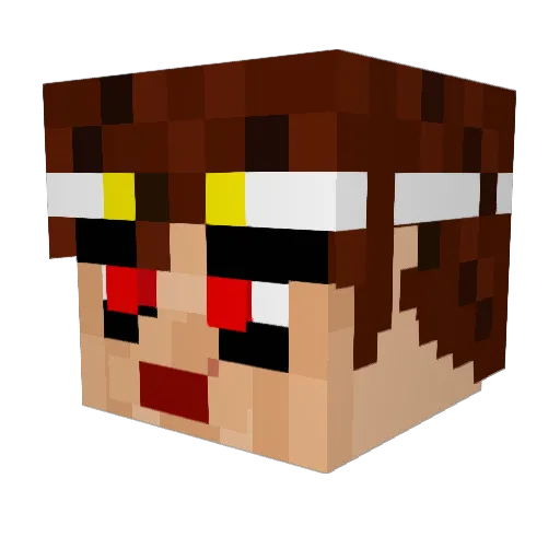LUR_StarSlayerX Minecraft avatar head, 3D render