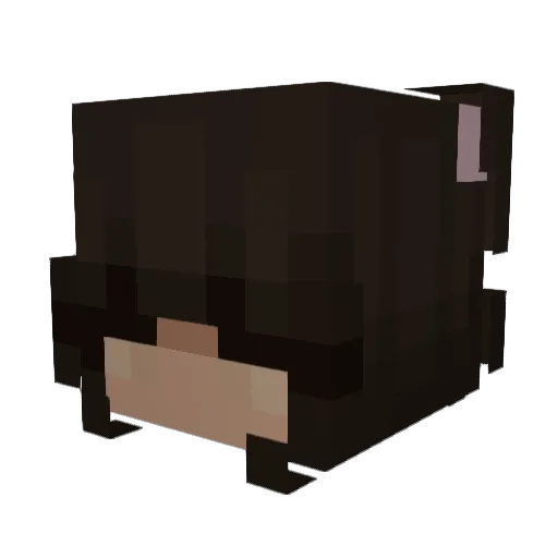 LUV_LOVE Minecraft avatar head, 3D render
