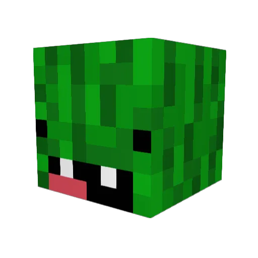 LUZIOWSKI Minecraft avatar head, 3D render