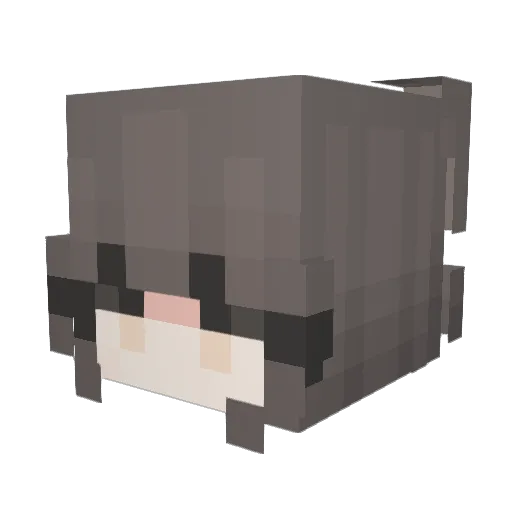 LVJYAda Minecraft avatar head, 3D render