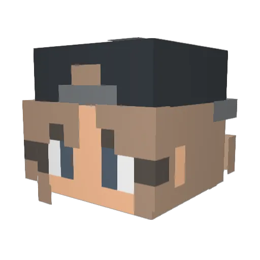 LVT_FREEDOM_ Minecraft avatar head, 3D render