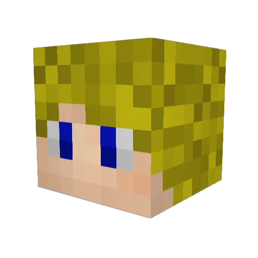 LWP_ Minecraft avatar head, 3D render