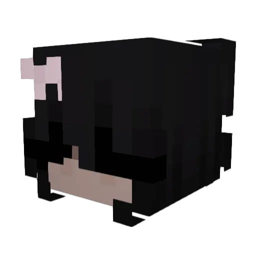 LY4Ee Minecraft avatar head, 3D render