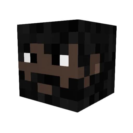 LYHF_ Minecraft avatar head, 3D render