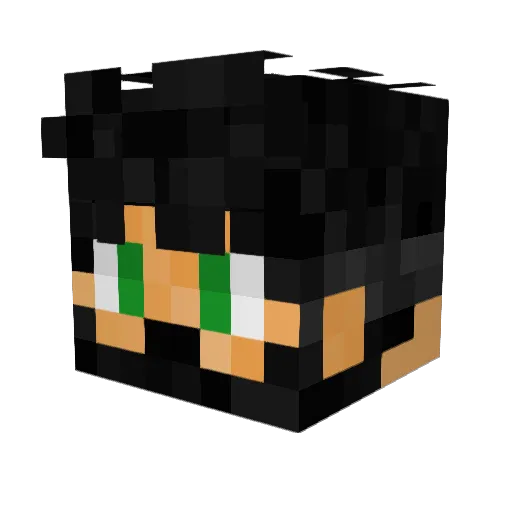 LYON_PLAYZ Minecraft avatar head, 3D render