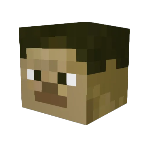 LYX20014 Minecraft avatar head, 3D render