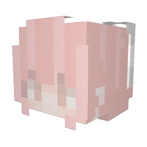 LYuki1208 Minecraft avatar head, 3D render