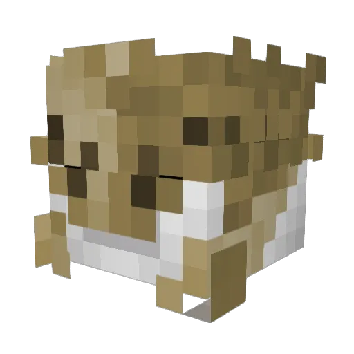 LZYbader Minecraft avatar head, 3D render