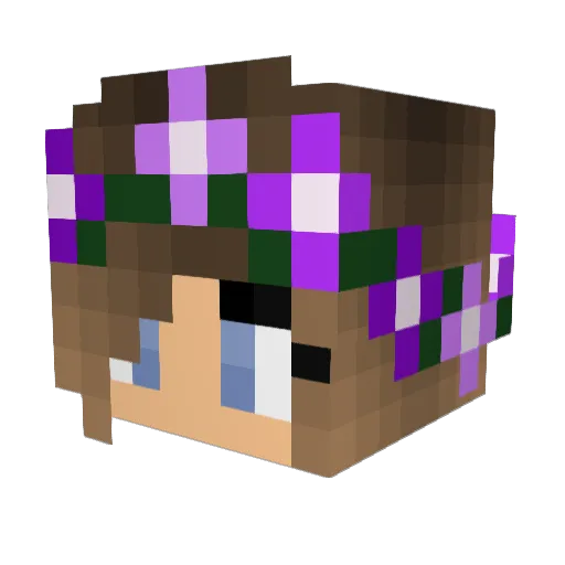 LZtheGamer2020 Minecraft avatar head, 3D render