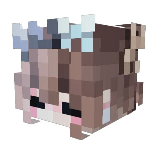 L_Canadensis Minecraft avatar head, 3D render