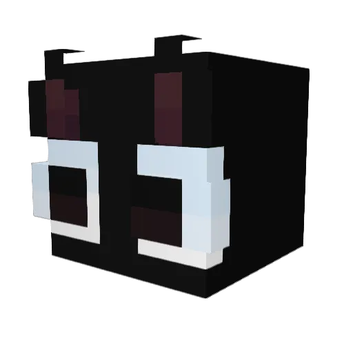 L_Duckstone Minecraft avatar head, 3D render