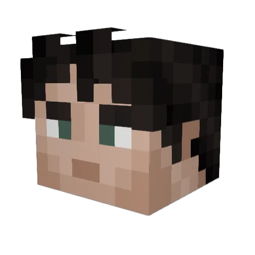 L_F_B_K Minecraft avatar head, 3D render
