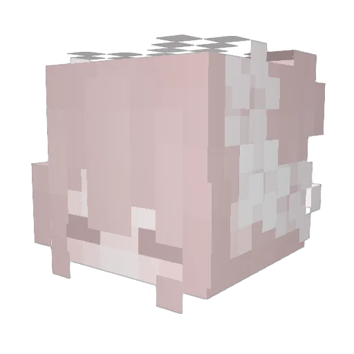 L_Oapbr Minecraft avatar head, 3D render