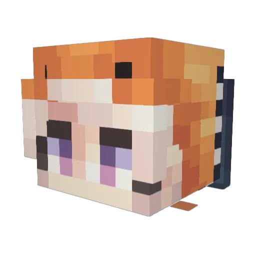 L_Wazowski1 Minecraft avatar head, 3D render