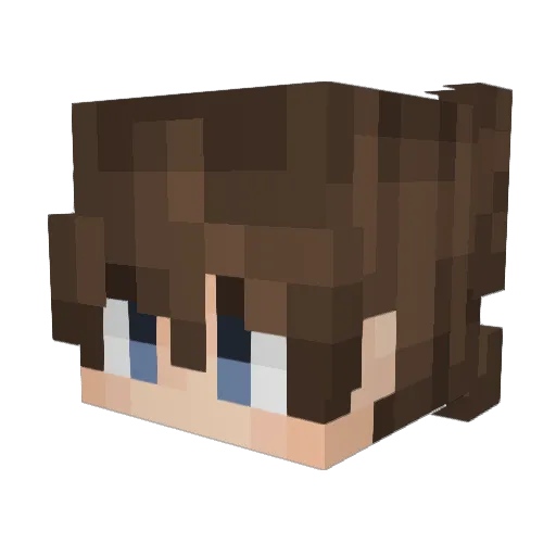 L_YOUN Minecraft avatar head, 3D render