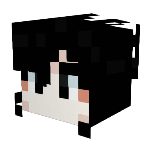 L_and_R Minecraft avatar head, 3D render