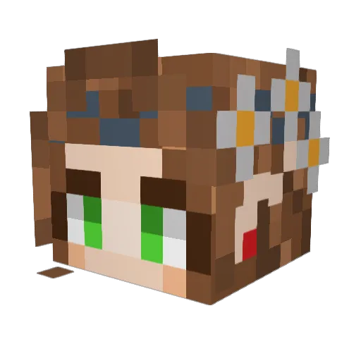 L_aurora Minecraft avatar head, 3D render