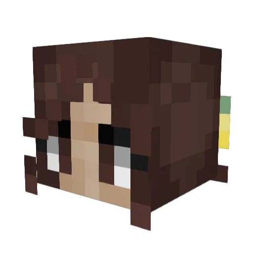 L_imaginations33 Minecraft avatar head, 3D render