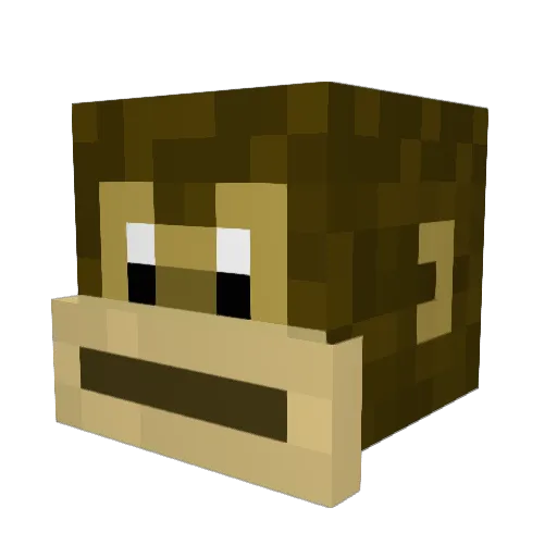 L_vis Minecraft avatar head, 3D render