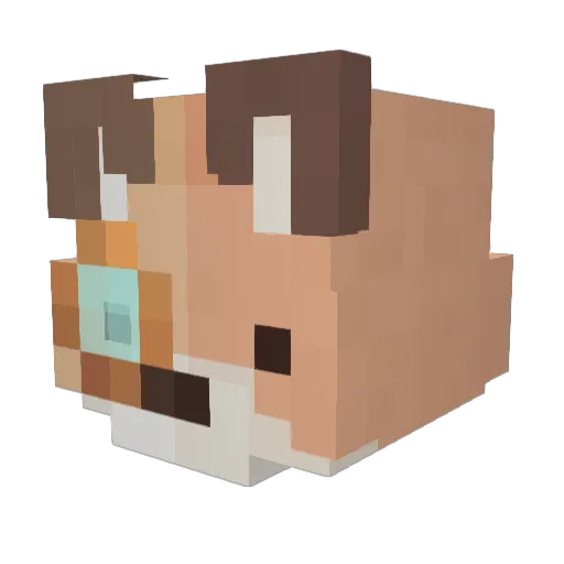 LaAiimZz Minecraft avatar head, 3D render