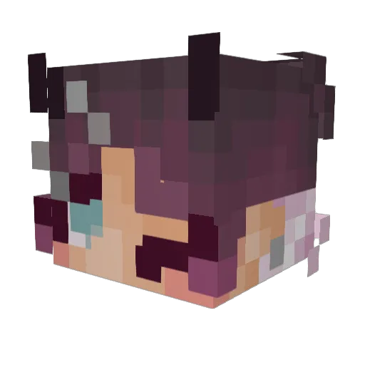 LaCamass93 Minecraft avatar head, 3D render