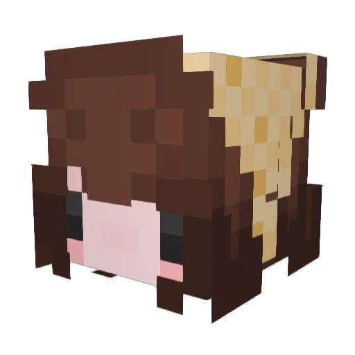 LaEstefis Minecraft avatar head, 3D render