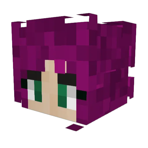 LaFitz Minecraft avatar head, 3D render