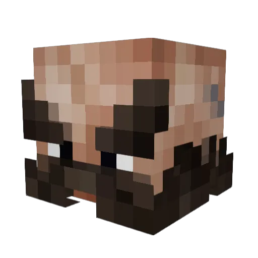 LaGaspe Minecraft avatar head, 3D render