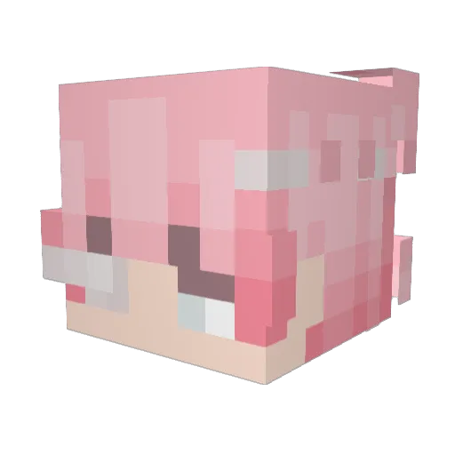 LaMeaVolaita Minecraft avatar head, 3D render