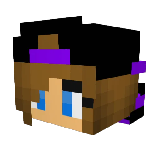 LaPro2014 Minecraft avatar head, 3D render