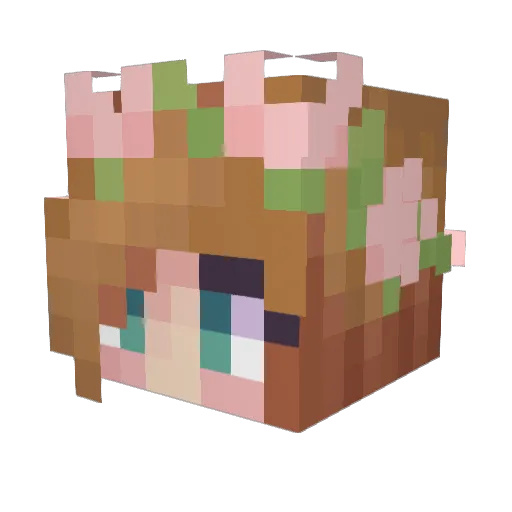 LaSadTaco Minecraft avatar head, 3D render