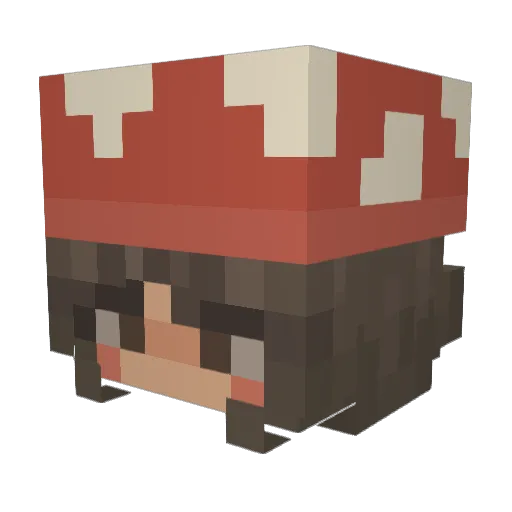 LaTorts Minecraft avatar head, 3D render
