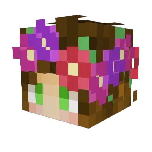 LaUf24 Minecraft avatar head, 3D render