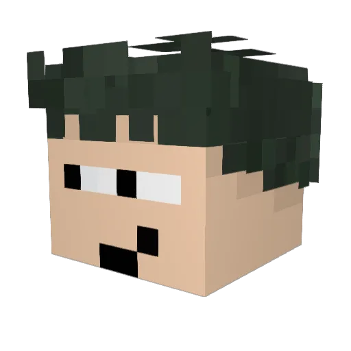 Laaiinnn Minecraft avatar head, 3D render