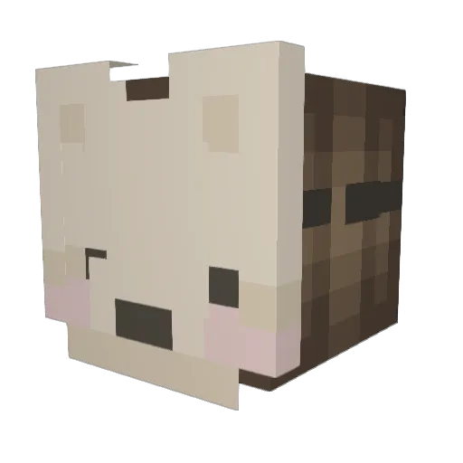 Laannzz Minecraft avatar head, 3D render