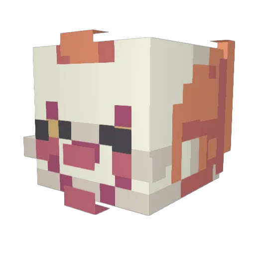 LaarKientje Minecraft avatar head, 3D render