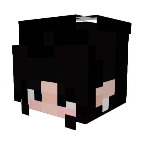 LabRadRat Minecraft avatar head, 3D render