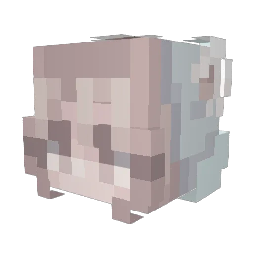 Labanya Minecraft avatar head, 3D render