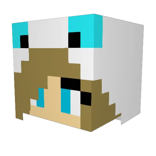 Labidor Minecraft avatar head, 3D render