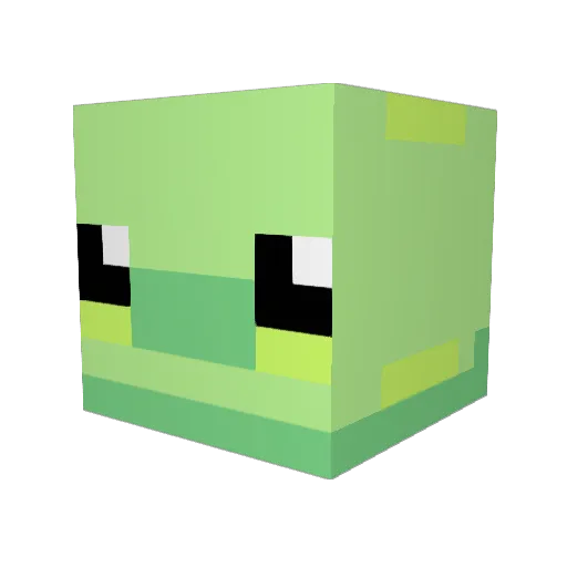 Labo_Turtle Minecraft avatar head, 3D render