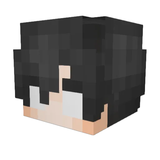 Labombaaa_ Minecraft avatar head, 3D render
