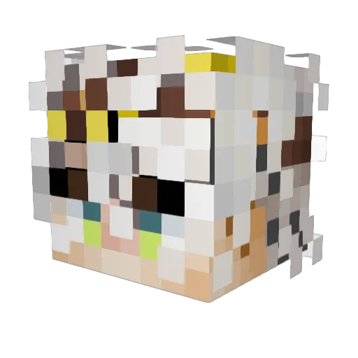 Labootie Minecraft avatar head, 3D render