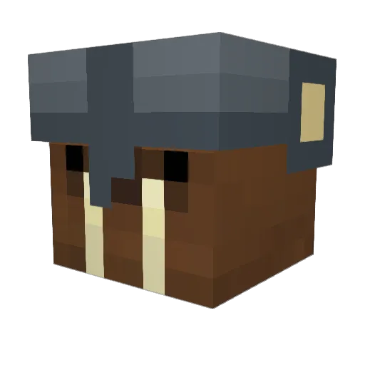 LabradorRetriver Minecraft avatar head, 3D render