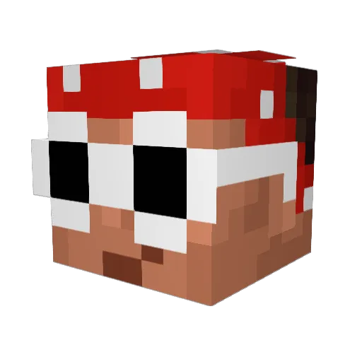 Labron_james Minecraft avatar head, 3D render