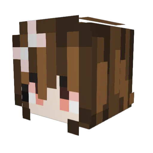Labutops Minecraft avatar head, 3D render