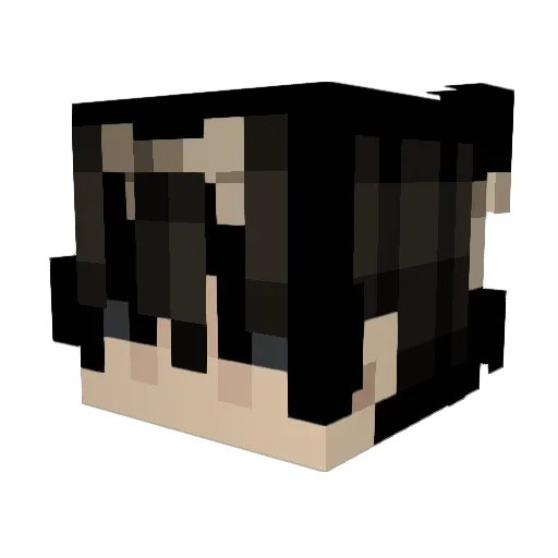 Laceduxp Minecraft avatar head, 3D render
